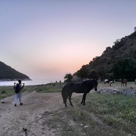 Lost Paradise Eco Camping Himarë Eksteriør billede